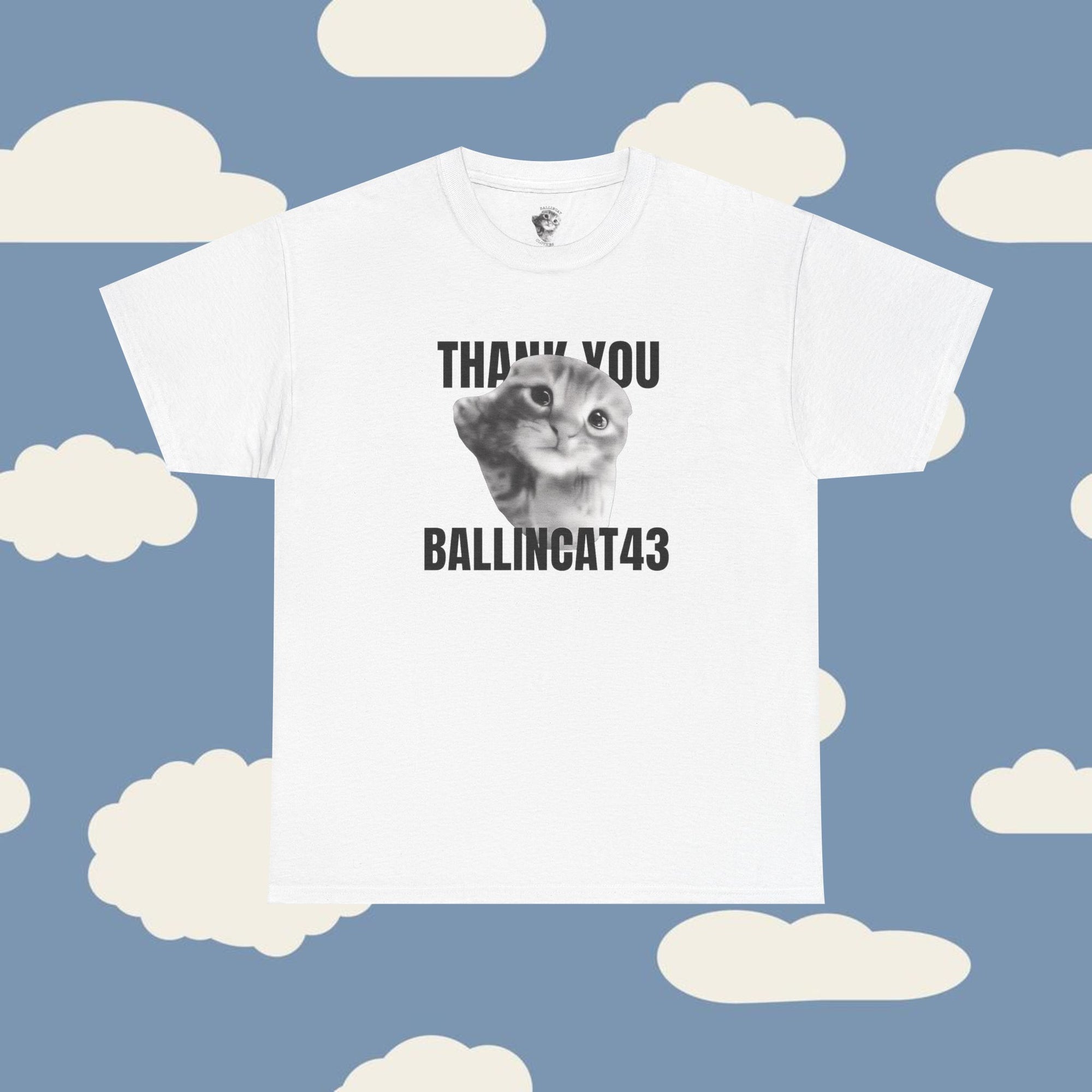 Thank You Ballincat43 (GRAY CAT AND BLACK TEXT)
