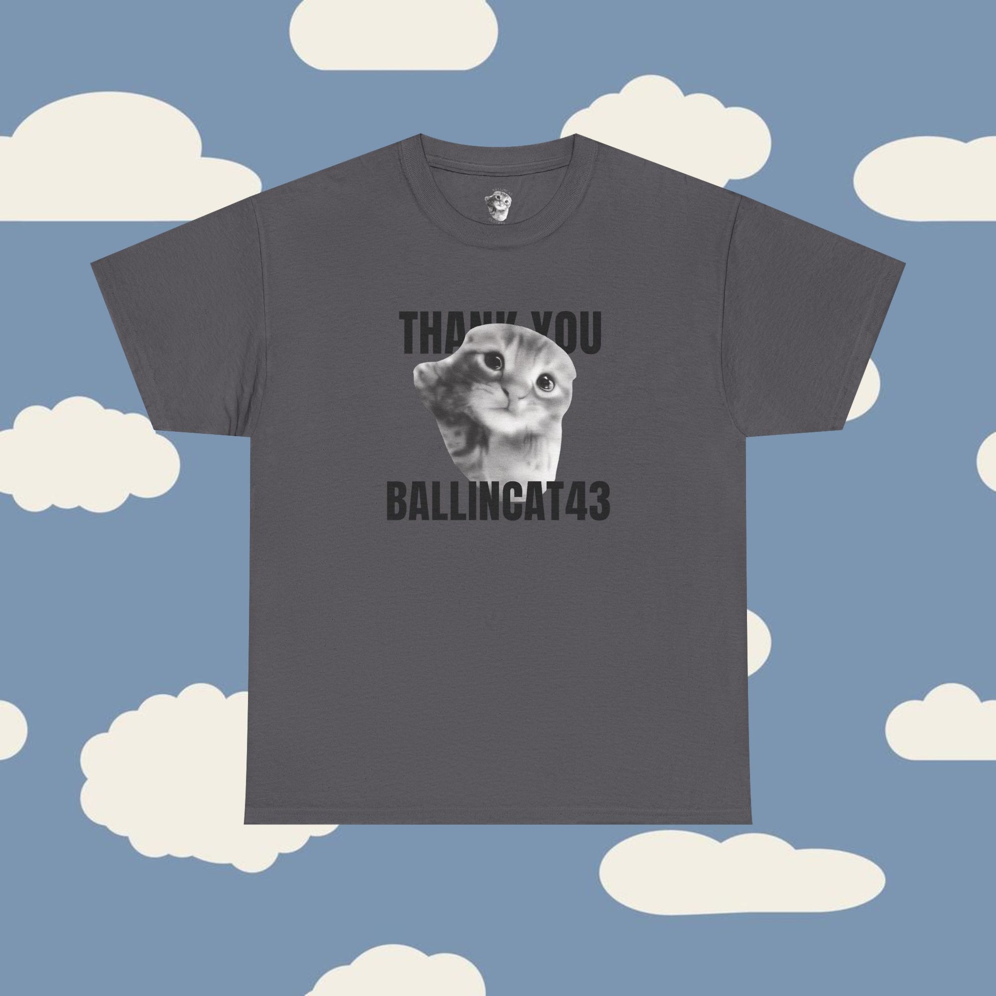 Thank You Ballincat43 (GRAY CAT AND BLACK TEXT)