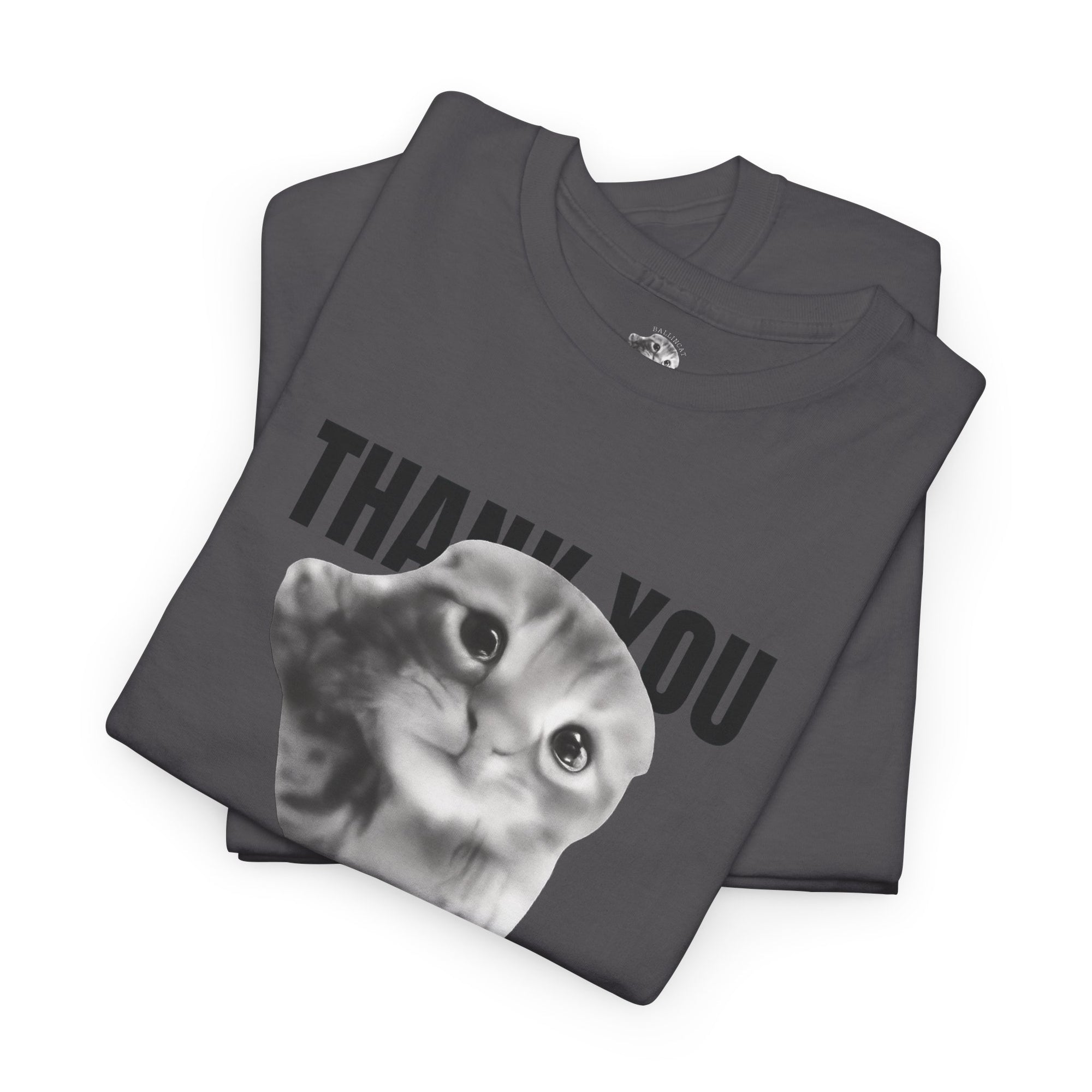 Thank You Ballincat43 (GRAY CAT AND BLACK TEXT)